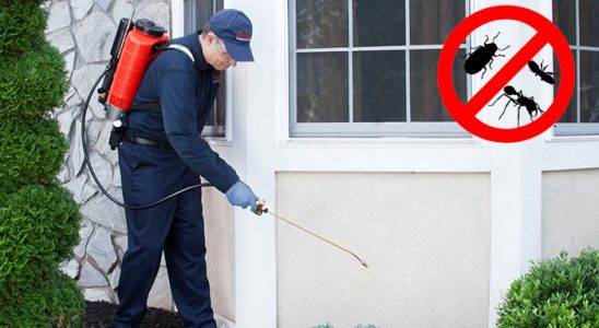 Akkışla Böcek ve Haşere İlaçlama böcek ilaçlama ve haşere kontrolü — ilaclama-tr.com